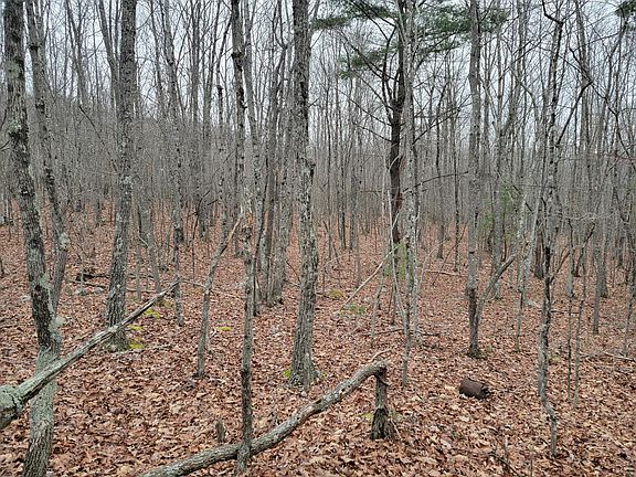 4th image of 0 White Oak Ln