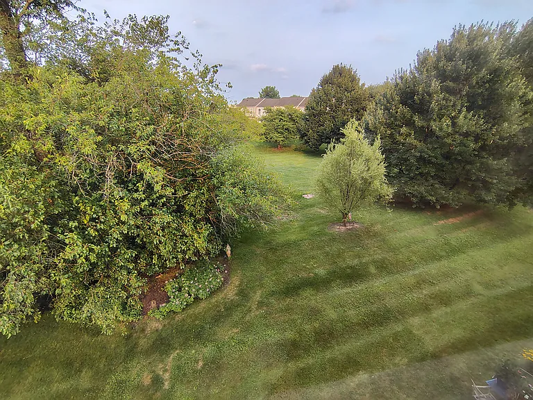 View from Balcony