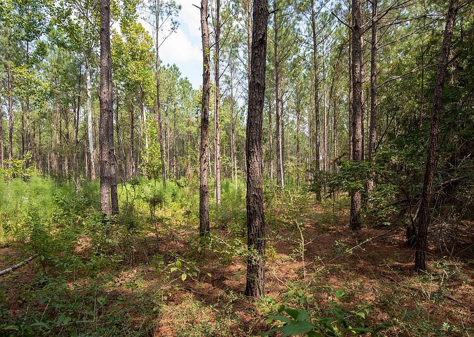1st image of Fm 256 W