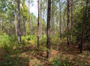 Fm 256 W, Woodville, TX 75979