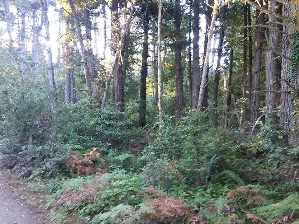 1st image of 32463 Odom Ln
