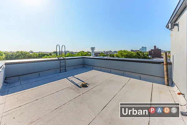 Rented by Urban Pads | media 6