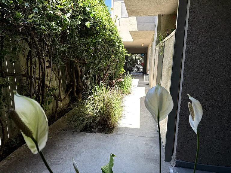 546 N Flores Street — Photo 41