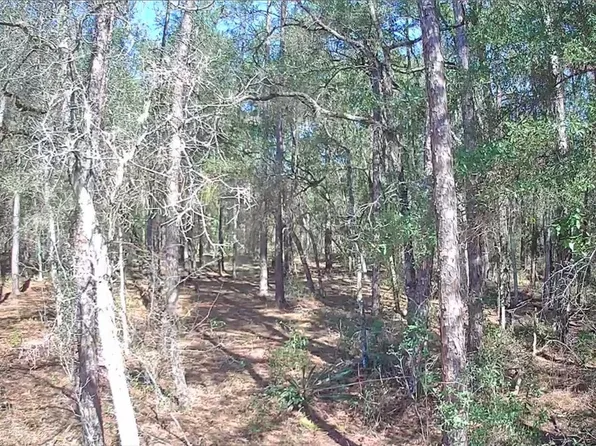 8587 N Stern Way, Citrus Springs, FL 34434