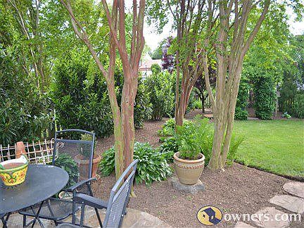 Backyard  with crepe myrtles 