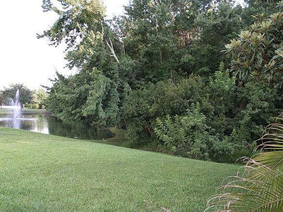 Backyard with pond