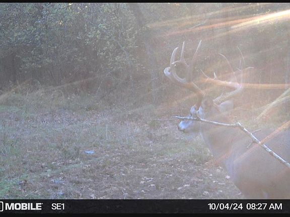 4th image of 0 Camelback Rd