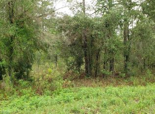 NE 98th Ln LOT 60, Archer, FL 32618