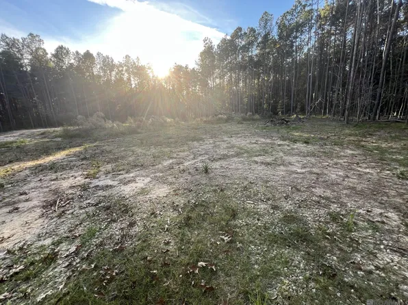 14333 Springfield Rd, Walker, LA 70785