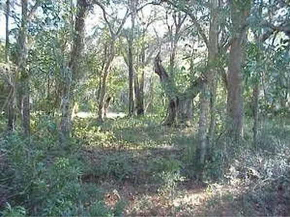 212 Rice Ml, Saint Simons Island, GA 31522