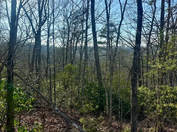 LOT 34 Blue Horizon Dr, Blue Ridge, GA 30513