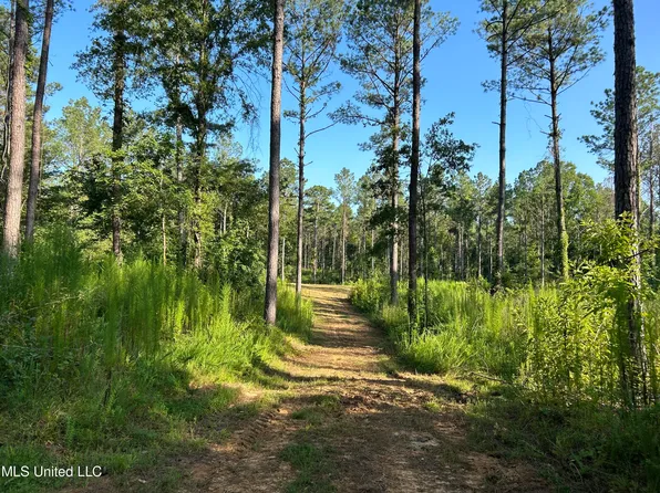 State Highway 17, Pickens, MS 39146