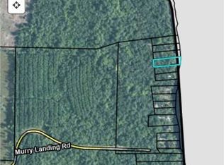 1442 Murray Landing Rd, Folkston, GA 31537