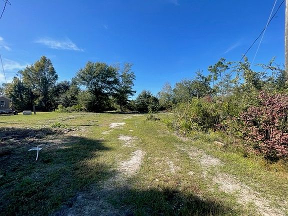 5th image of 453 Palmetto Dr