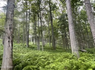 259 Lackawaxen Rd, Narrowsburg, NY 12764