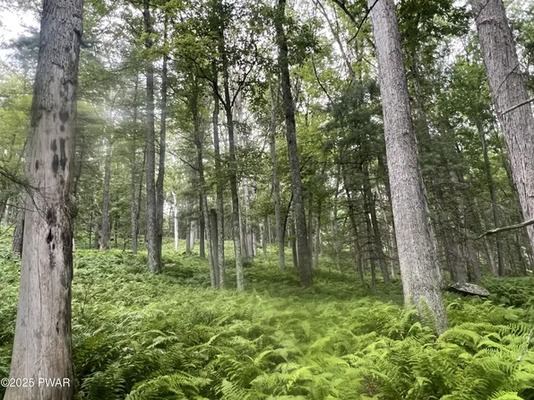 259 Lackawaxen Rd, Narrowsburg, NY 12764