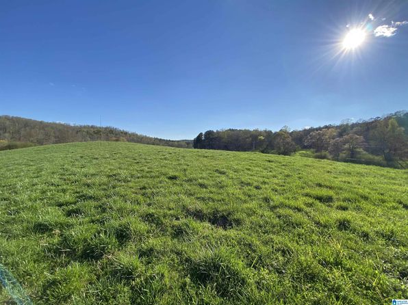 6405 State Highway 174 TRACT 2, Springville, AL 35146
