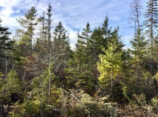 Tdb Springer Rd, Goetzville, MI 49736