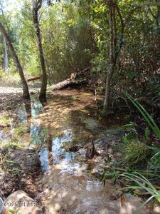 3555 Hibiscus St, Marianna, FL, 32448