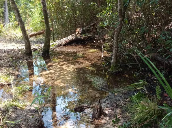 3555 Hibiscus St, Marianna, FL 32448