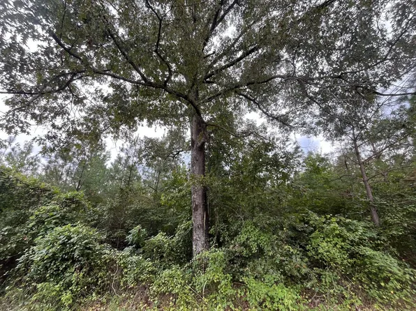 Highway 107/cr #51, Fayette, AL 35555