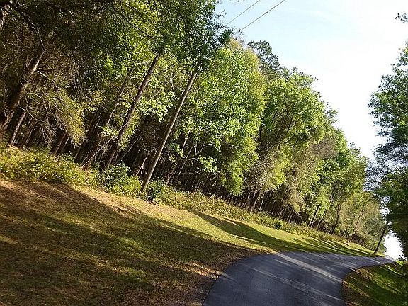 2nd image of Virginia Lee Cir
