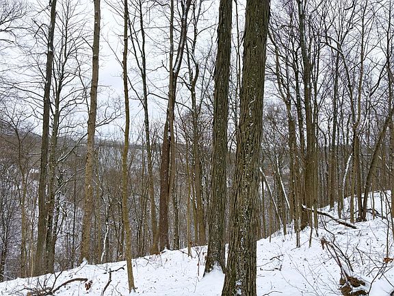 4th image of 0 Morris Ridge Rd Tract 2