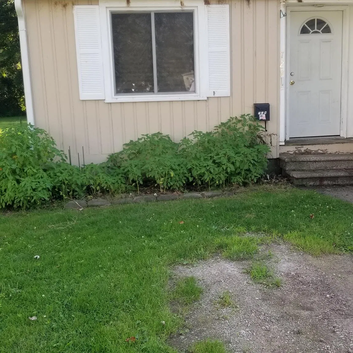 729 Howard St — Photo 3