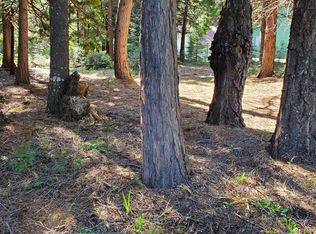 LOT 16 Starlite Pines Rd, Shingletown, CA 96088