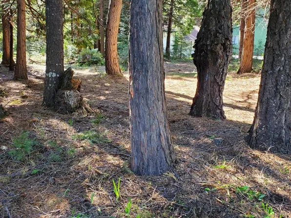 LOT 16 Starlite Pines Rd, Shingletown, CA 96088