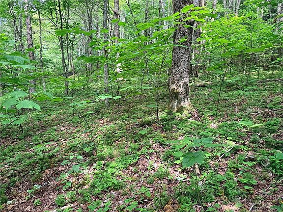 3rd image of TBD Chestnut Mountain Road