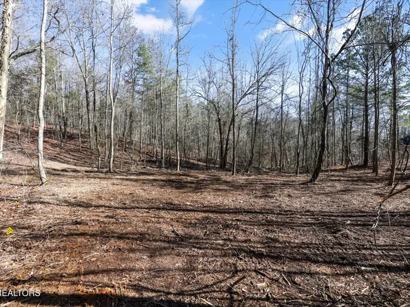 Sunrise Ln, Decatur, TN 37322