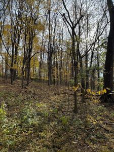 1612D Ashby Fork Rd, Petersburg, KY, 41080