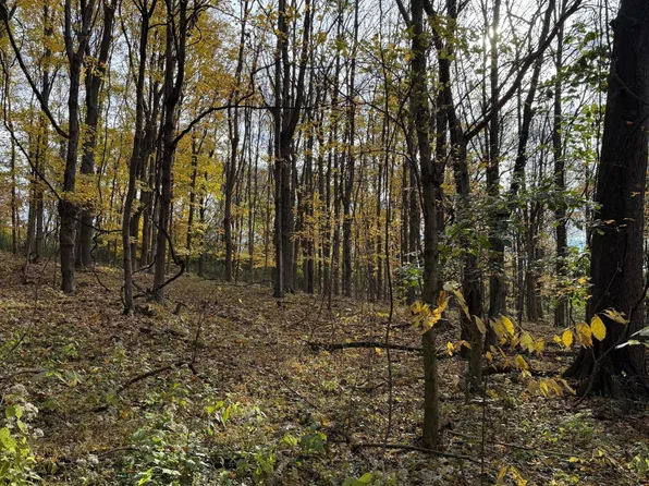 1612D Ashby Fork Rd, Petersburg, KY 41080