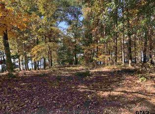 52444 9a Pr LOT 9, Leesburg, TX 75451