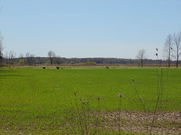 Area has tons of Deer/Turkey