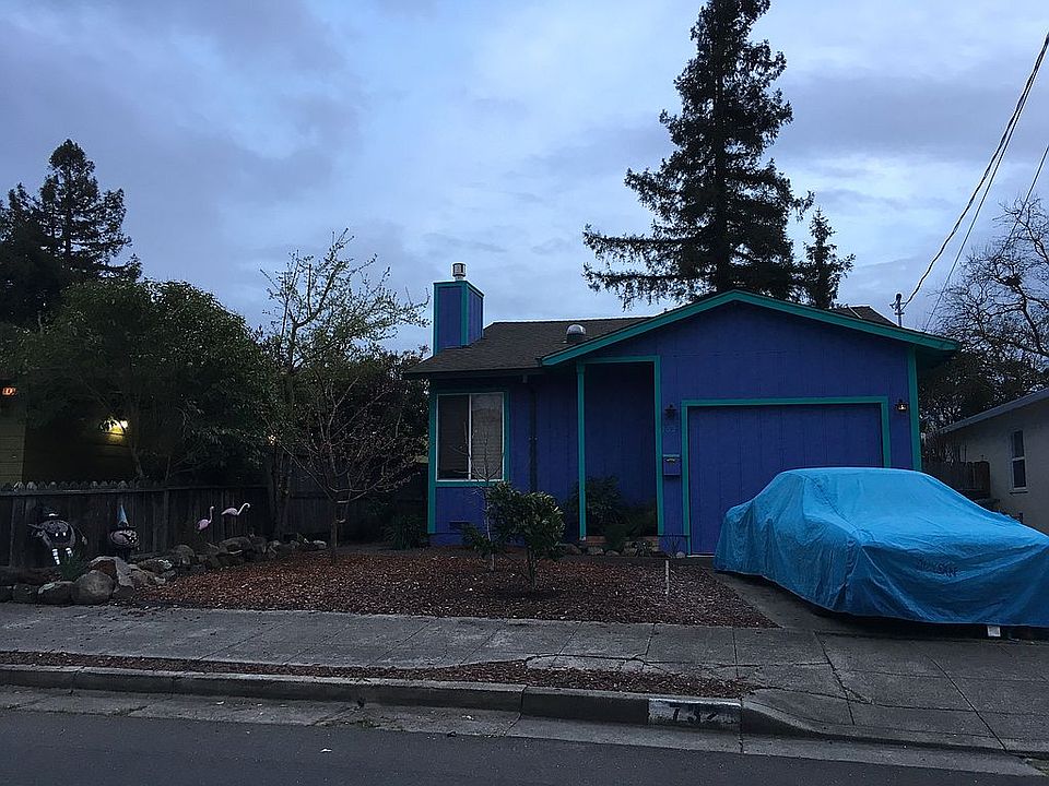 Gorgeous Redwood In Backyard