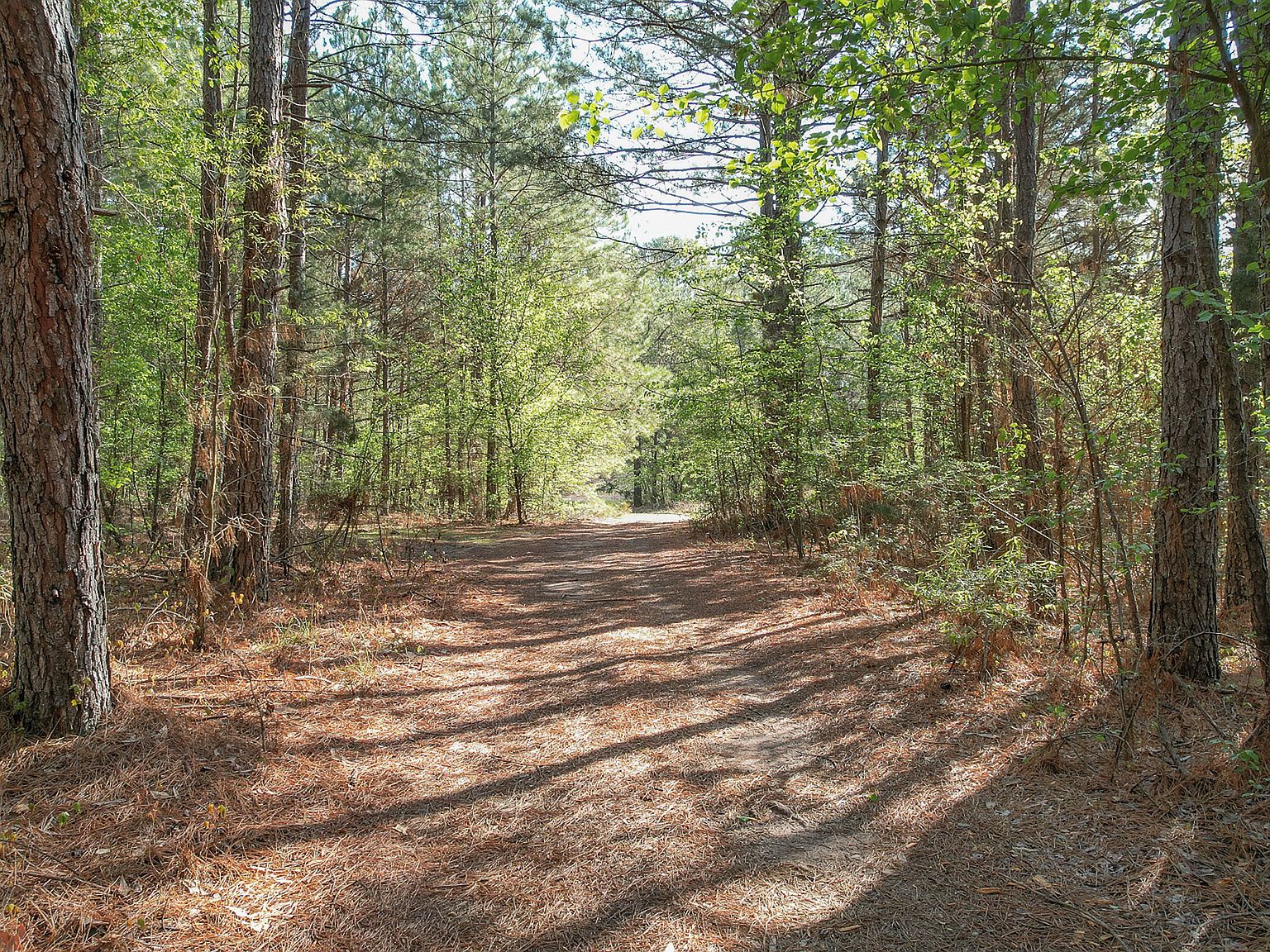 N Fm 2148, Texarkana, TX 75501 Zillow