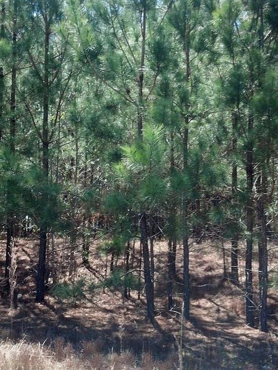 2nd image of 750 S Judd Pkwy SW Lot 1