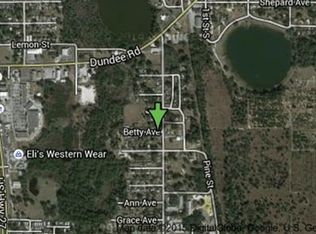 Betty Ave, Dundee, FL 33838
