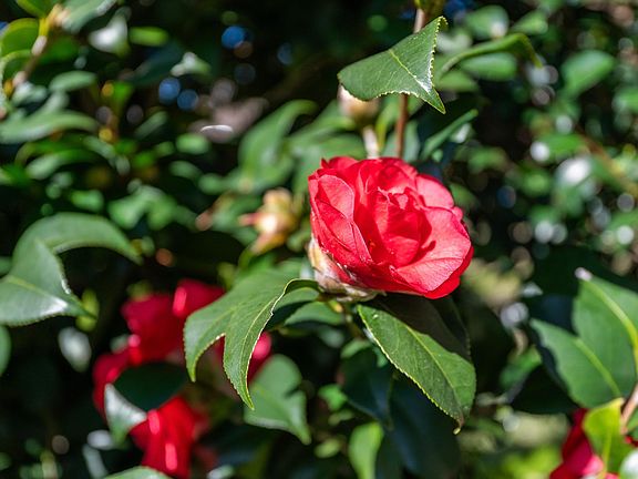 4th image of 914 Highland Rd