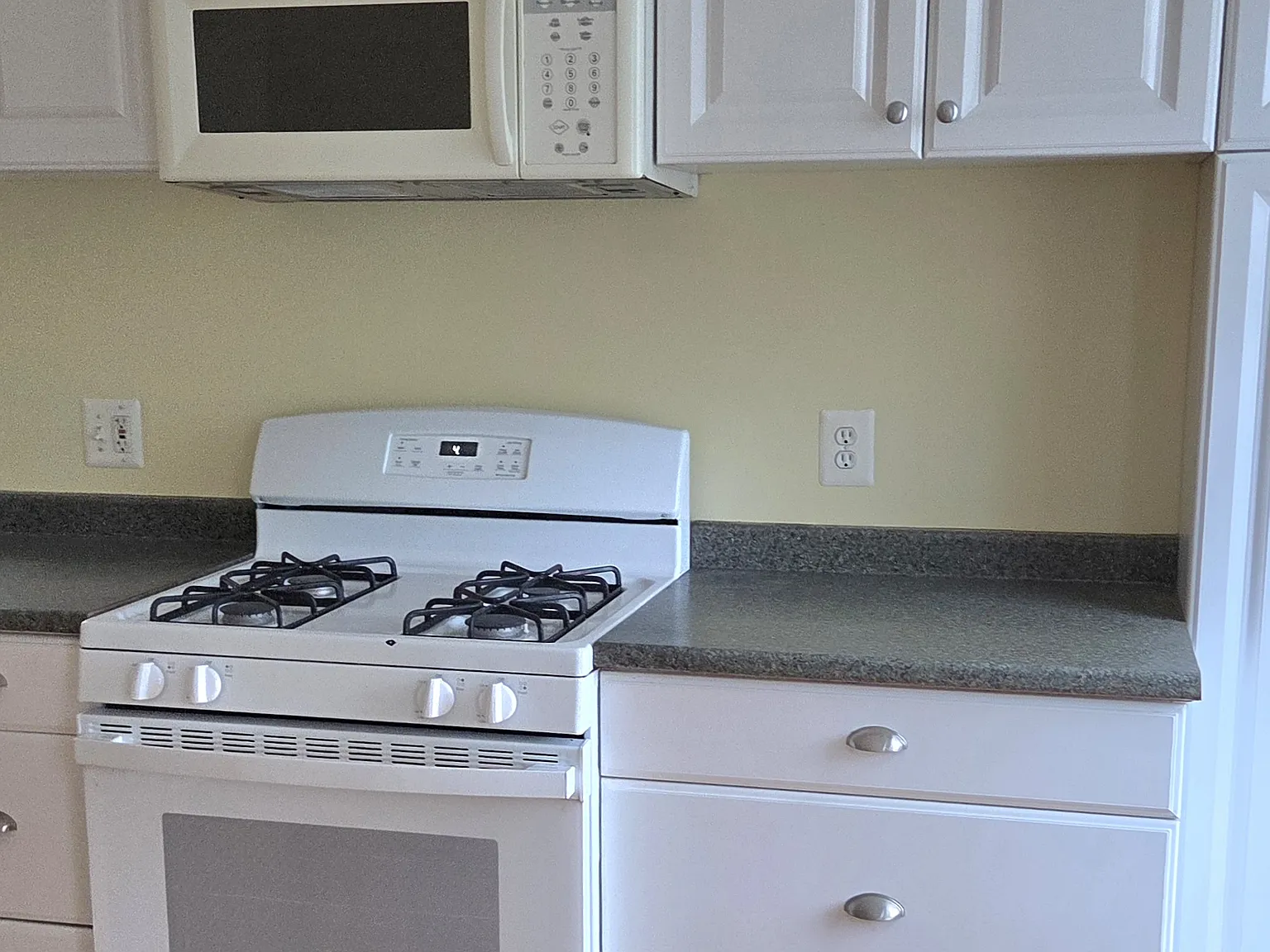 1 bed, 800 sqft, $2,450 — Photo 3
