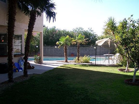 Grassy back yard