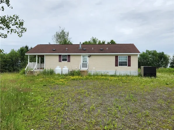 131 Tower Rd, Unadilla, NY 13849