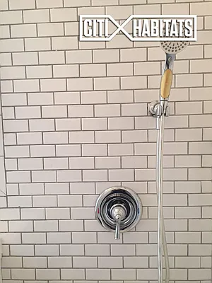 Rented by Citi Habitats | media 20