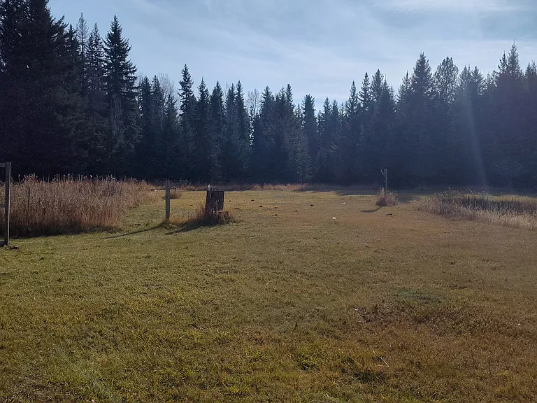 457 Angel Point Trl — Photo 11