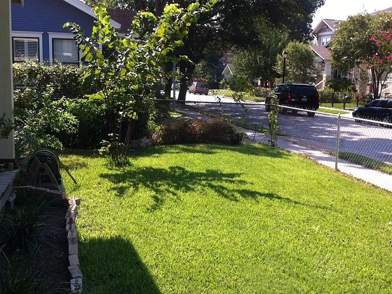 Front yard view