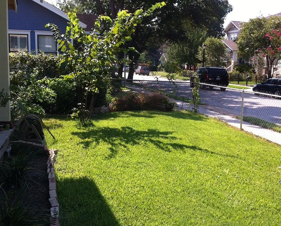 Front yard view