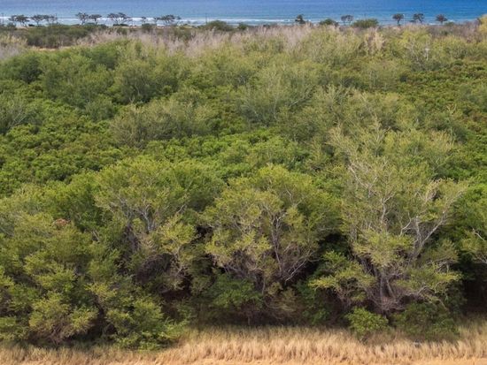 627 Ehehene St Unit A, Lahaina, HI 96761