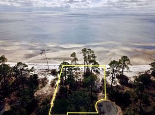 309 Sunny Spot Ln, St Teresa, FL 32358